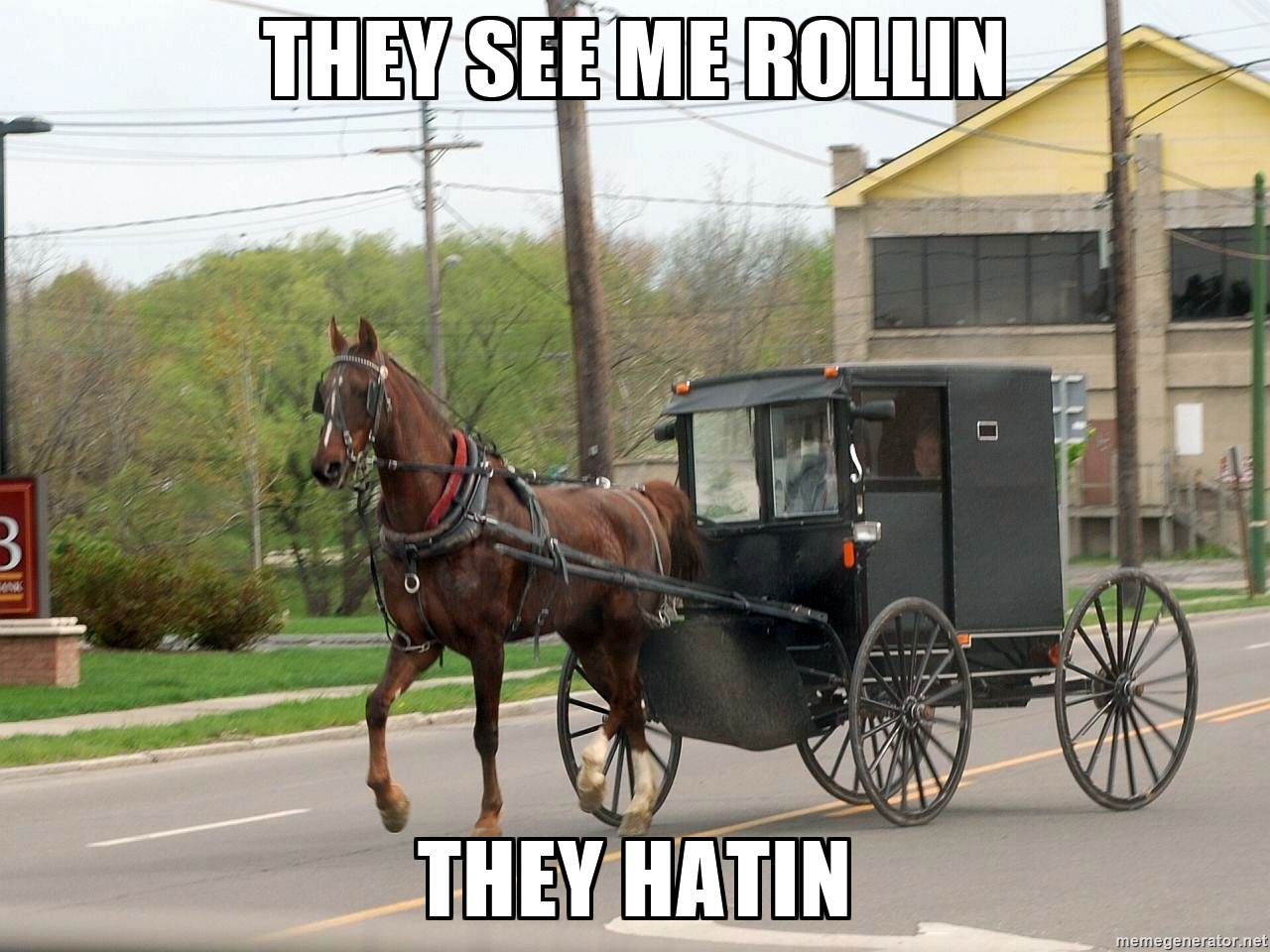 20 Things You Know All Too Well if You Don't Drive